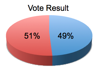 pie chart showing 49% and 51% voting result